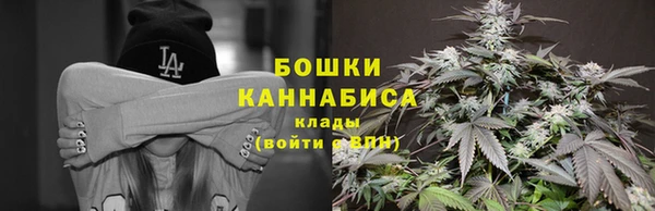 бошки Арсеньев