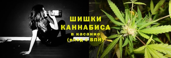 бошки Арсеньев
