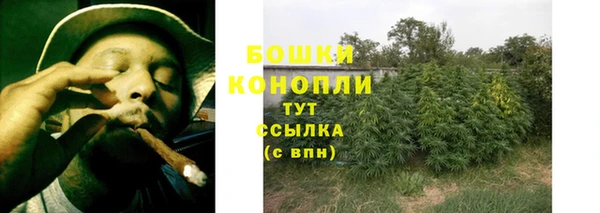 бошки Арсеньев