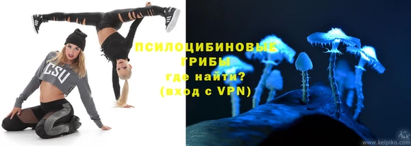 бошки Арсеньев