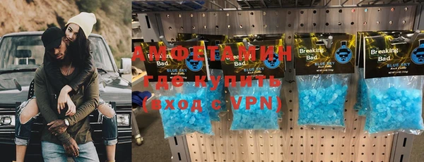сатива Армянск