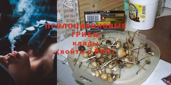 сатива Армянск