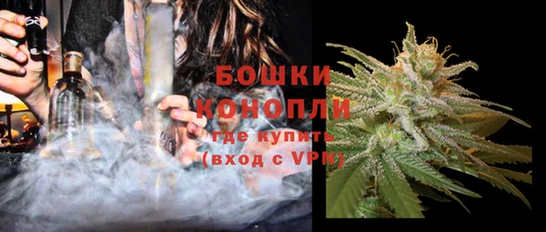 сатива Армянск