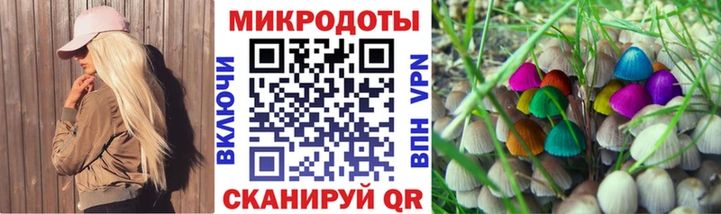что такое наркотик Лебедянь маркетплейс формула Псилоцибиновые грибы Psilocybe